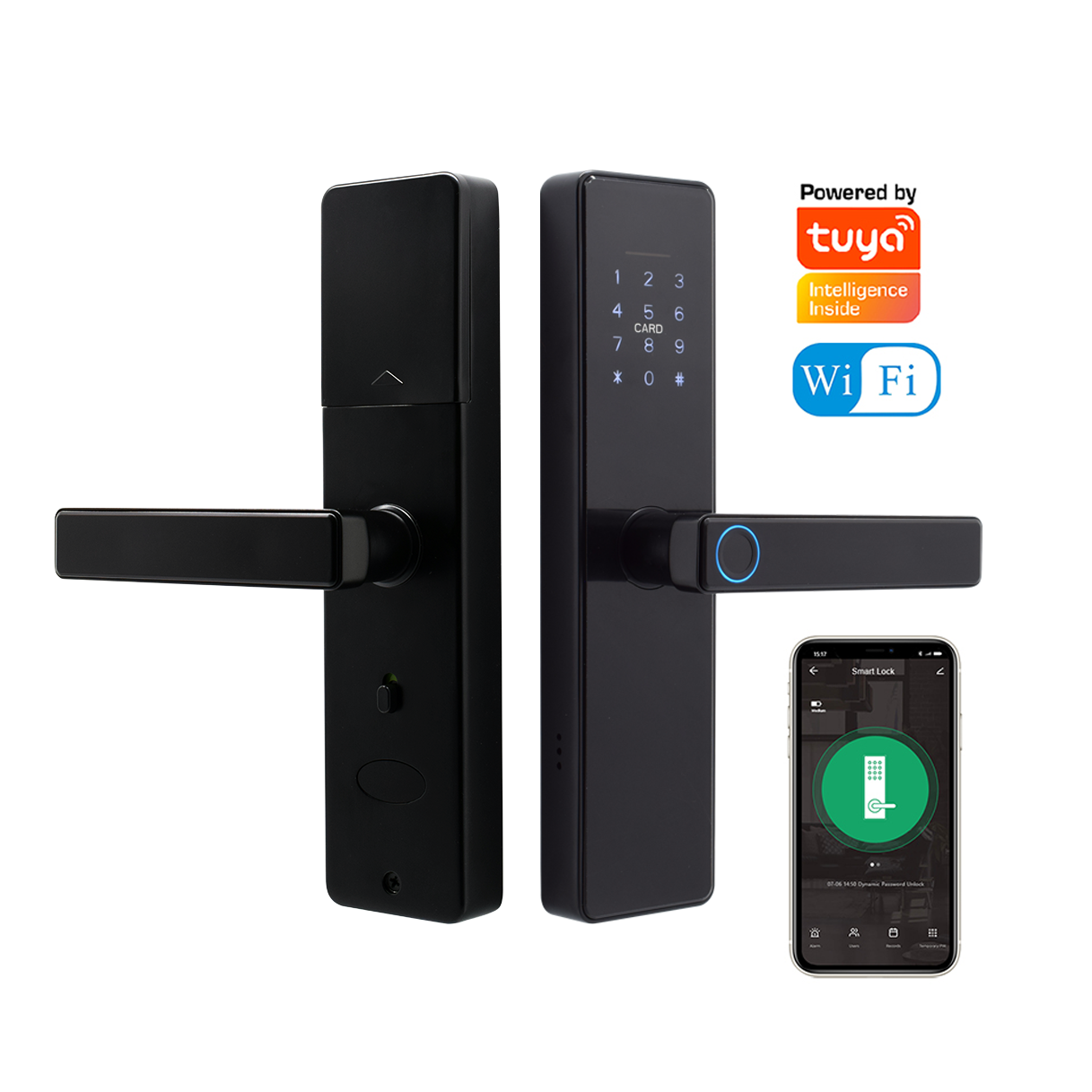 Smart Panel Lock